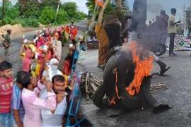 panchayat election