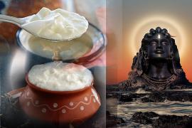 curd