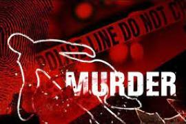 Murder Case 
