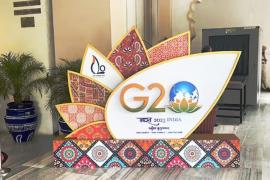 G 20