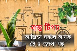 vastu tips