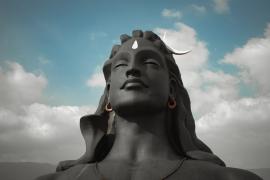 shiv