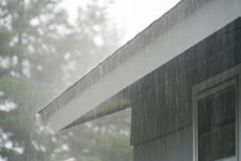 rain