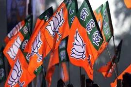 BJP 