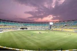 Cricket