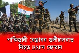 bsf