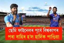 Cricket