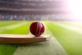 Cricket 