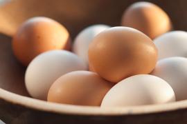 eggs