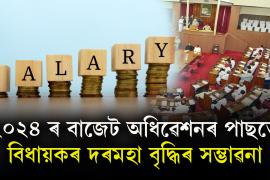 MLA Salary