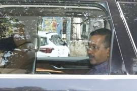 arvind