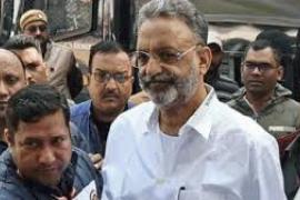 ansari