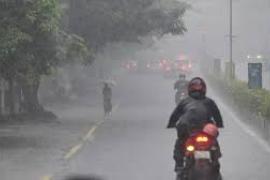rainfall