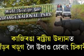 Kaziranga National Park