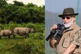 modi