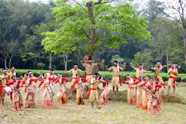 BIHU