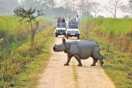 assam