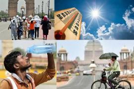DELHI