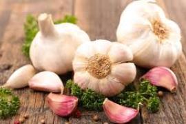 garlic