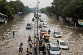 delhi