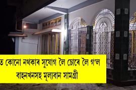 sivsagar thief