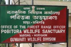 Pobitora Wildlife Sanctuary