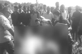 Wild elephanat death  