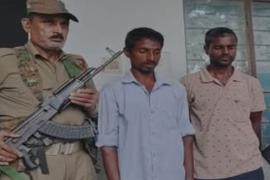 Wild elephanat death  