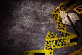 বেহালার ফ্ল্যাটে মহিলা সঙ্গীতশিল্পীর রহস্যজনক মৃ*ত্যু, বাড়ির তিন কর্মচারী আটক