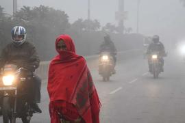 उत्तर भारत में शीतलहर का कहर, IMD ने पंजाब-हरियाणा-यूपी के लिए जारी किया बड़ा अलर्ट