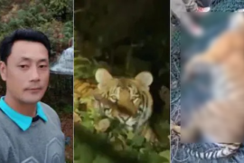 बाघ के ह/मले में शहीद हेड कांस्टेबल की पत्नी ने वन विभाग पर लापरवाही का आरोप लगाया