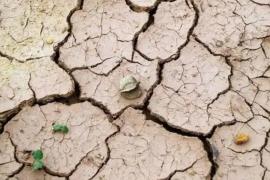 Assam records over 70% rainfall deficit since November