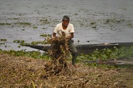 Assam initiative turns water hyacinth into eco-friendly paper to revive wetlands