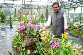 Orchid Park added to Kaziranga’s attractions in Assam