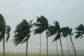Storm Damages Around 100 Houses in Assam’s Dibrugarh District