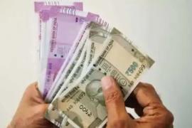 50 Months, No Salary: JDA Employees Urge Govt to Resolve Crisis