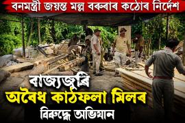 bojali news
