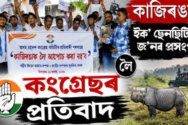 congress protest